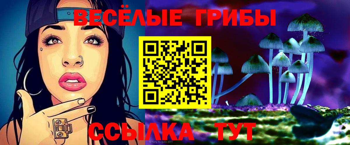 Псилоцибиновые грибы мухоморы  Вход с VPN  Верхняя Салда 