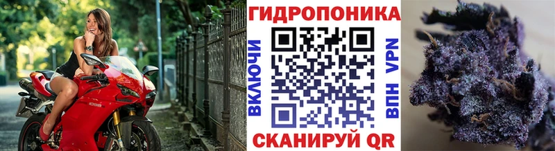 Конопля THC 21% Верхняя Салда